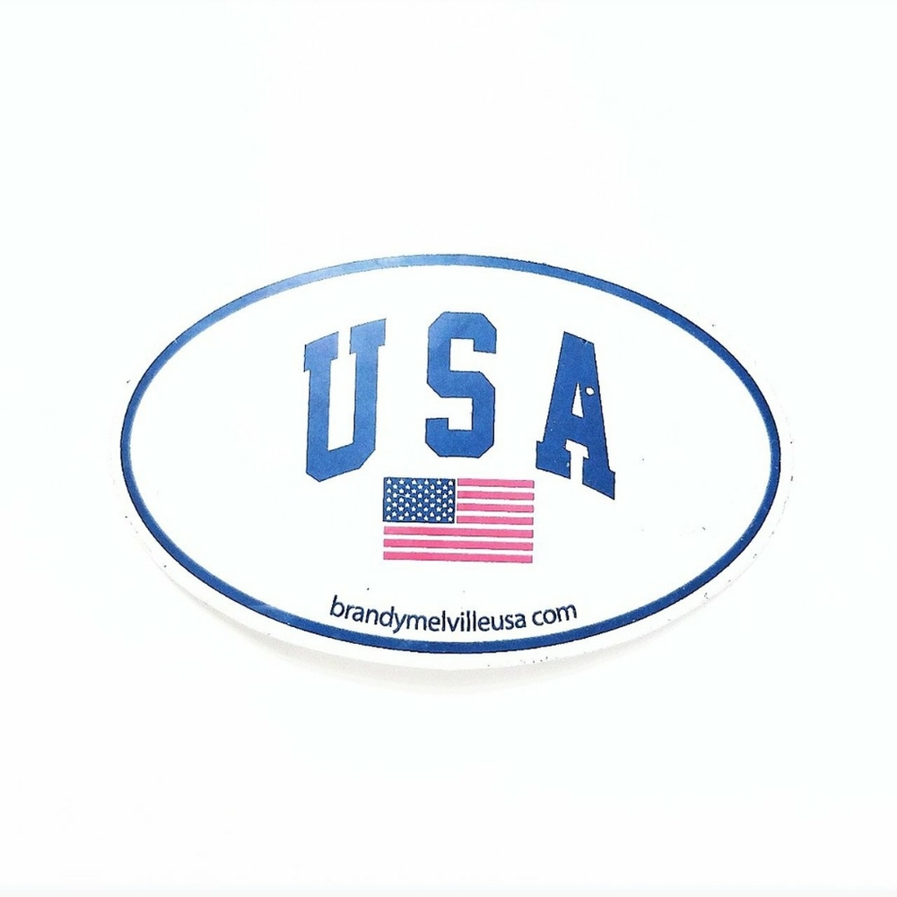 Brandy Melville Logo American Flag Sticker